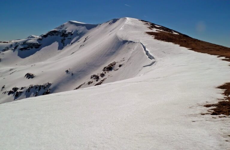 Trigaza invernal, a por más nieve