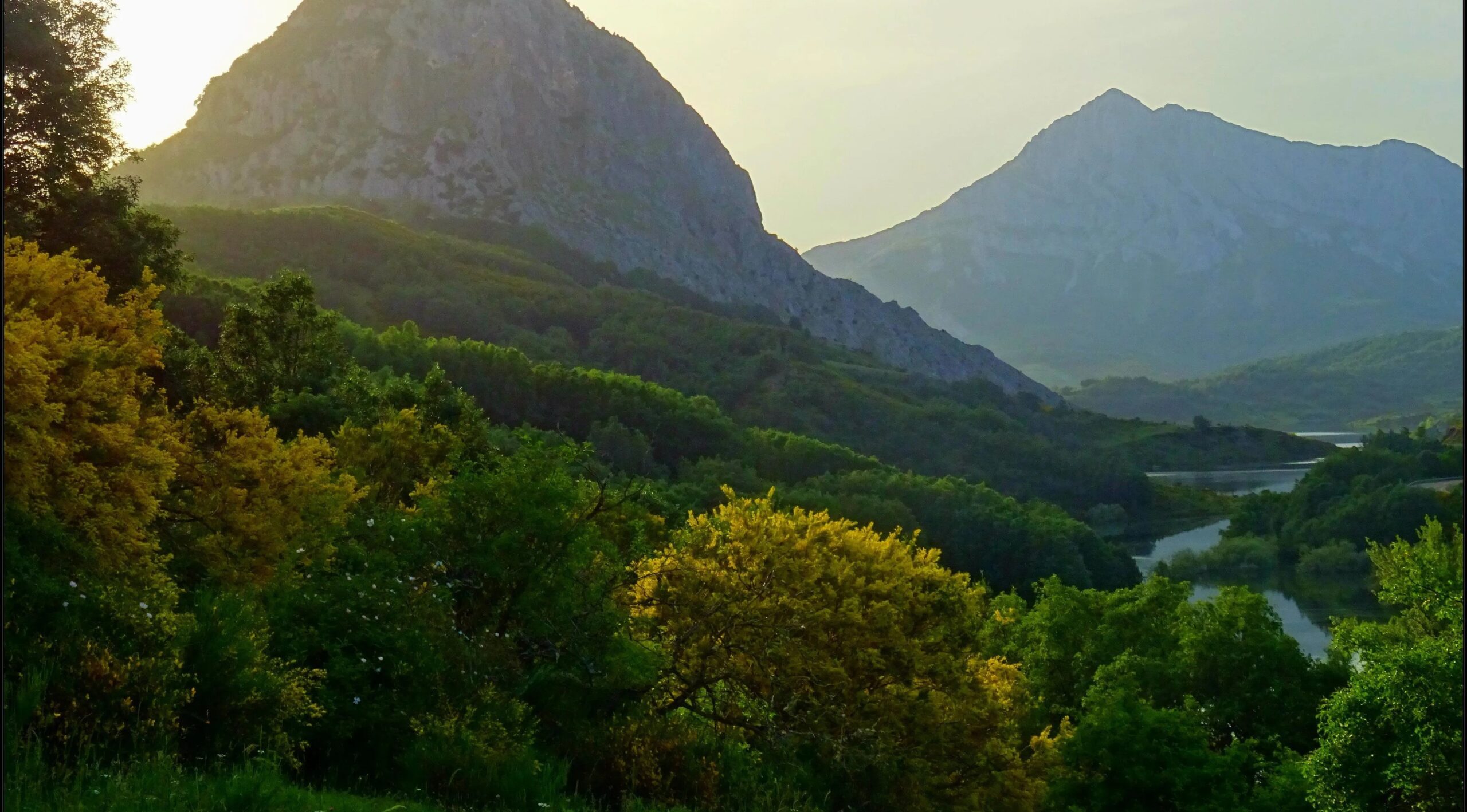 Bosques del Susarón