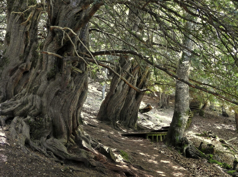 La Celada y valle de Tosande (Palencia)